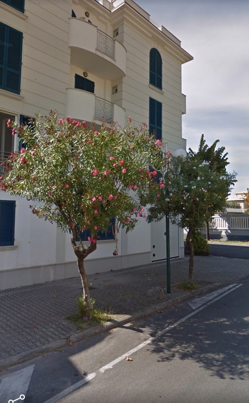 FORTE DEI MARMI.Ampio trilocale 6/8 FORTE DEI MARMI.Ampio trilocale 6/8