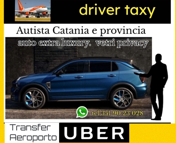 Autista driver . 