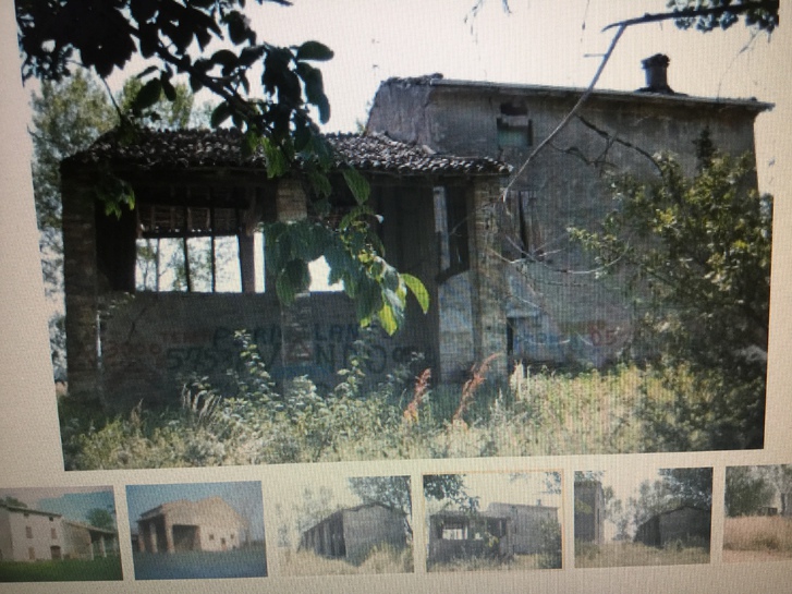 Rustico sito tra Soragna e roncole Verdi ampio lotto terreno Rustico sito tra Soragna e roncole Verdi ampio lotto terreno