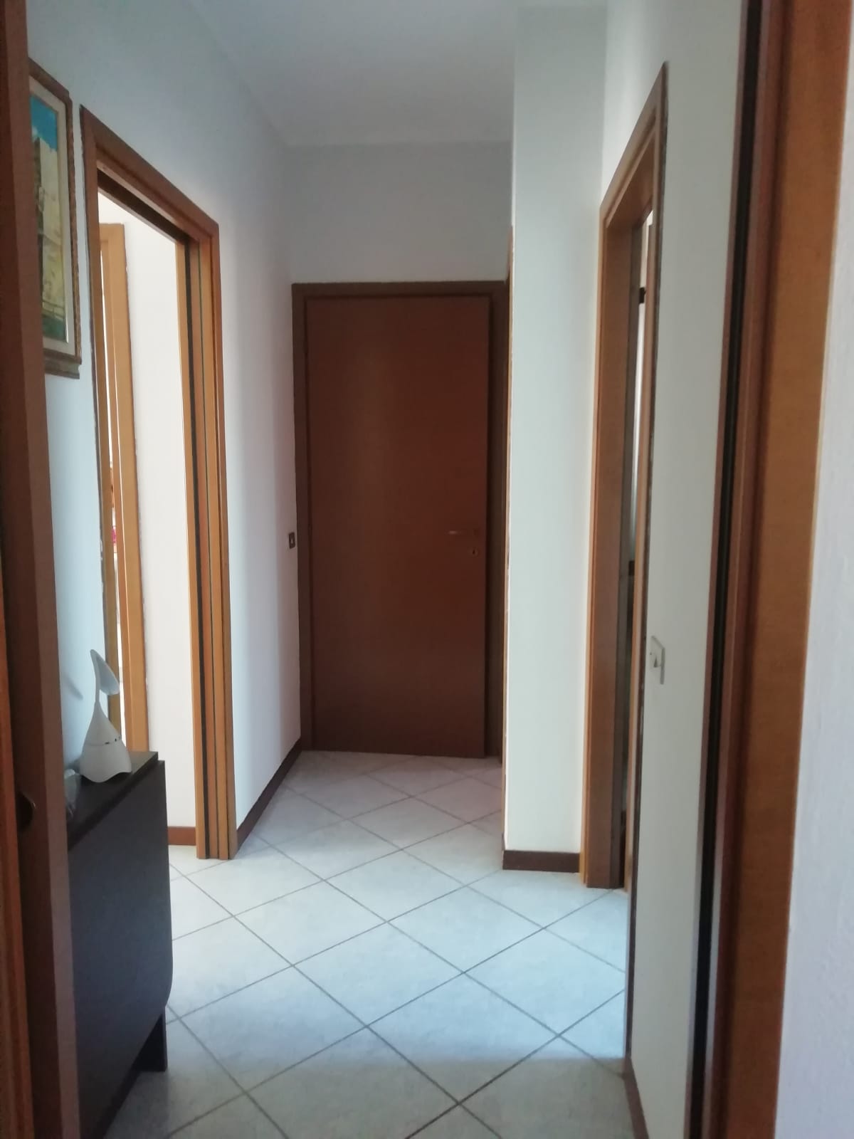Tre locali semi arredato Tre locali semi arredato