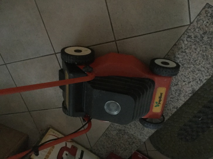 Vendo rasaerba elettrico nuovo professionale Vendo rasaerba elettrico nuovo professionale