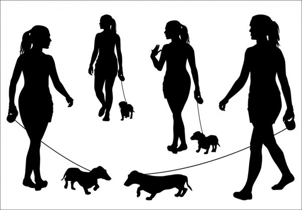 dog sitter per passeggiate dog sitter per passeggiate