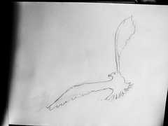 Disegno a mano.titolo : virata per la pace