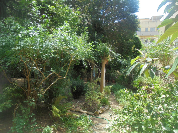 vendesi appartamento con giardino in Via Francesco Crispi a Catanzaro, vendesi appartamento con giardino in Via Francesco Crispi a Catanzaro,